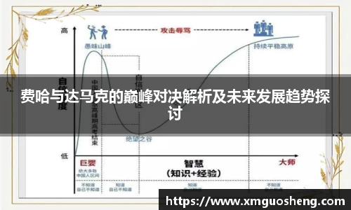 费哈与达马克的巅峰对决解析及未来发展趋势探讨