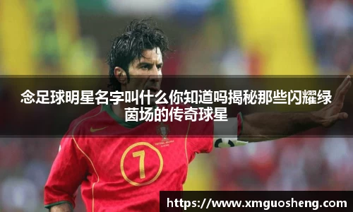 念足球明星名字叫什么你知道吗揭秘那些闪耀绿茵场的传奇球星
